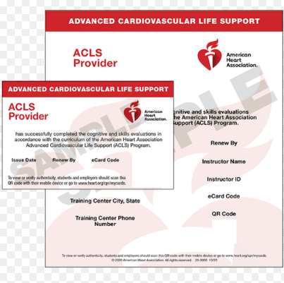 Advanced Cardiac Life Support (ACLS)